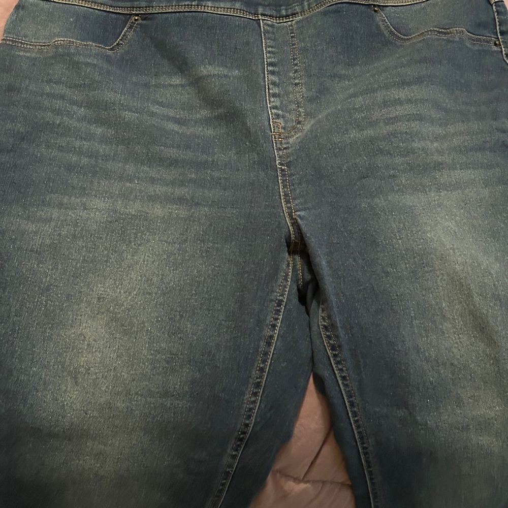 Terra & Sky Gray Denim Jeans
